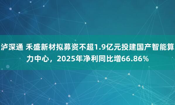 泸深通 禾盛新材拟募资不超1.9亿元投建国产智能算力中心，2025年净利同比增66.86%