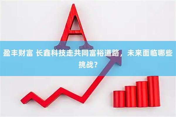 盈丰财富 长鑫科技走共同富裕道路，未来面临哪些挑战？